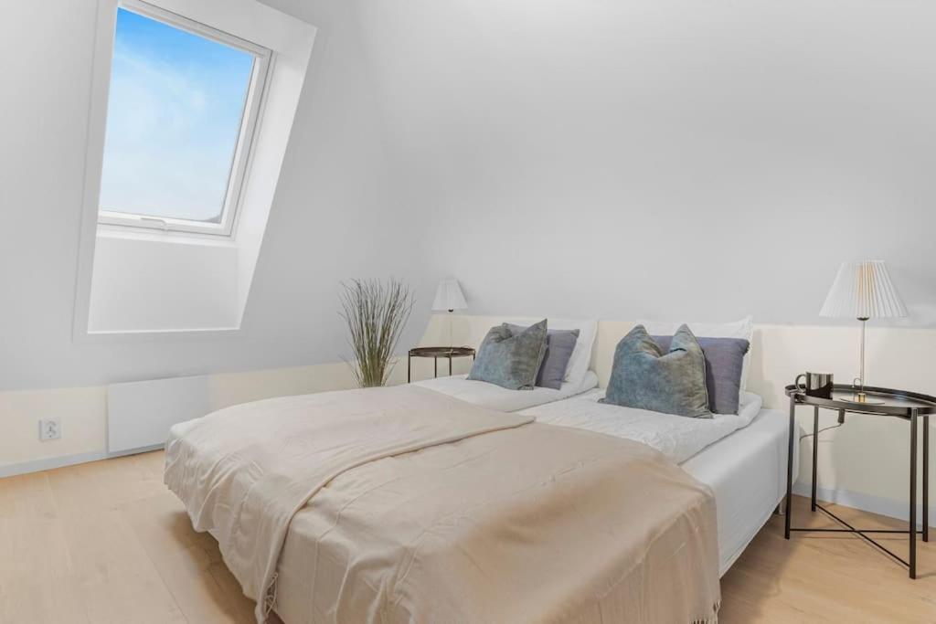 New! Huge Modern Apartment! Fit For Two Families! Bergen Extérieur photo