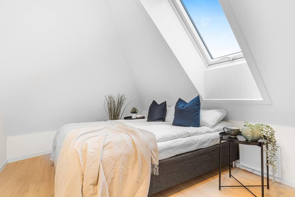 New! Huge Modern Apartment! Fit For Two Families! Bergen Extérieur photo